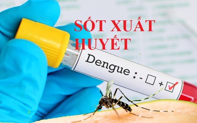 thu tuong yeu cau tang cuong phong, chong benh sot xuat huyet hinh anh 1