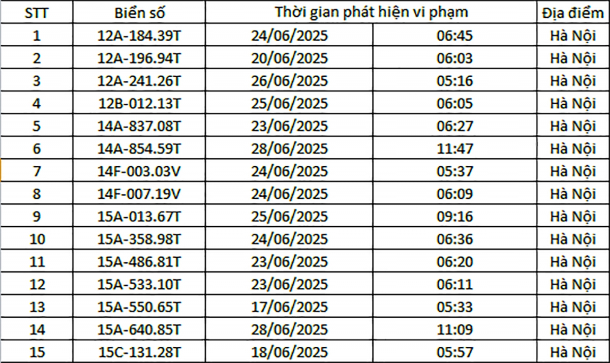 danh sach o to phat nguoi trong thang 6 o ha noi hinh anh 1