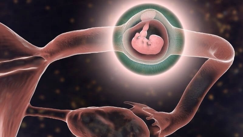 Có thai lại sau chửa ngoài tử cung có nguy hiểm không?