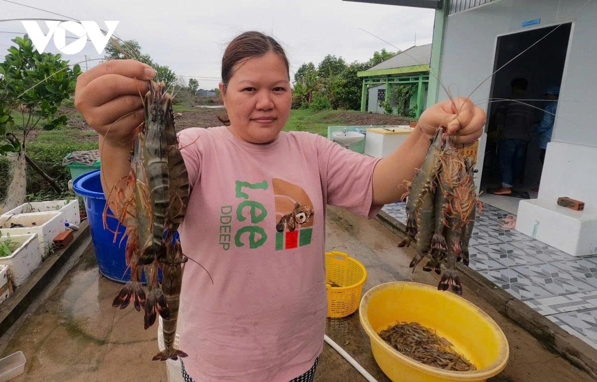 post-merger mekong delta emerges as strategic growth hub picture 1 post-merger mekong delta emerges as strategic growth hub picture 1