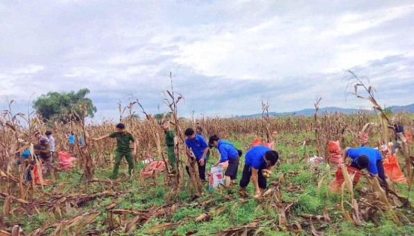 1.300 thanh nien tinh nguyen nghe an giup dan khac phuc hau qua do mua lu hinh anh 5