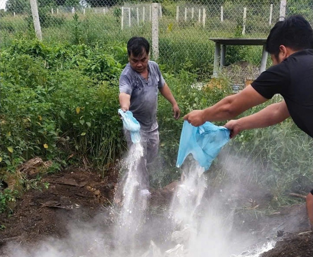 hue khan cap chong dich lien cau khuan lon hinh anh 2
