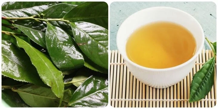 Những người nên hạn chế uống nước chè xanh