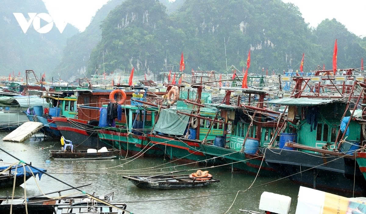 northern vietnam ramps up storm preparedness as typhoon wipha approaches picture 6