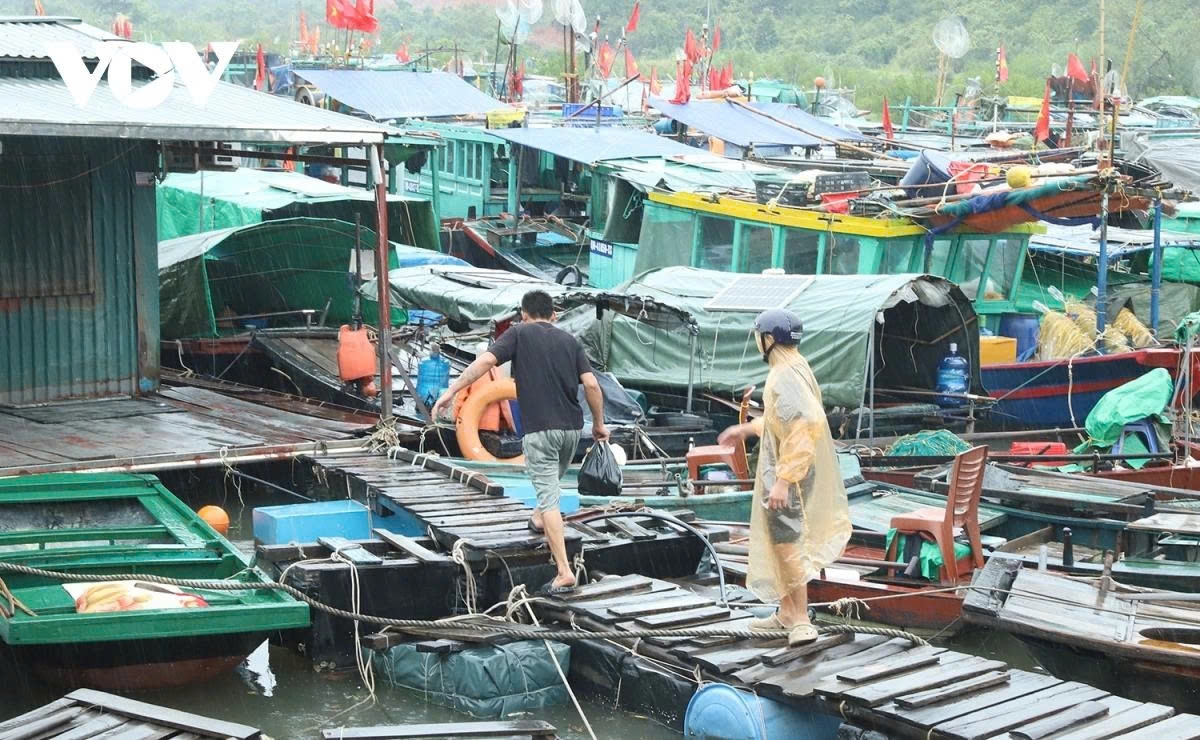 northern vietnam ramps up storm preparedness as typhoon wipha approaches picture 7