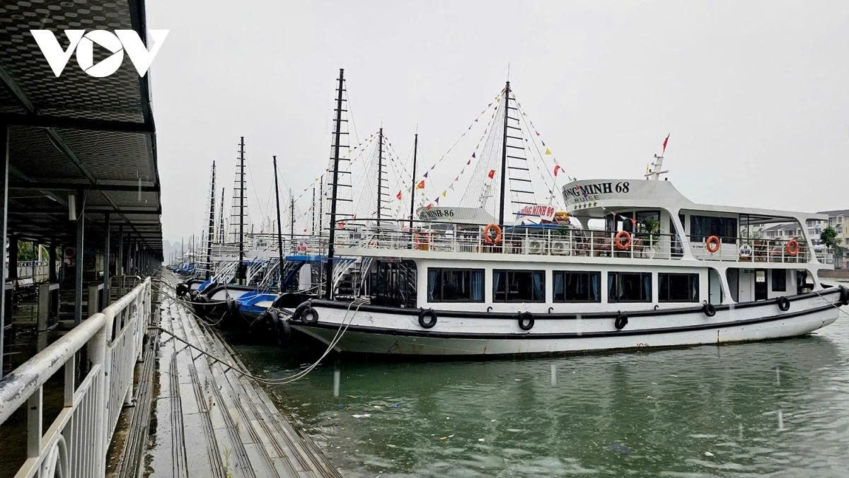 northern vietnam ramps up storm preparedness as typhoon wipha approaches picture 8