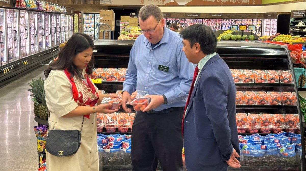quả vải việt nam lần đầu tiên xuất hiện tại hệ thống bán lẻ lớn nhất nước mỹ hình ảnh 1 qua vai viet nam lan dau tien xuat hien tai he thong ban le lon nhat nuoc my hinh anh 1