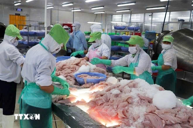 vietnam, brazil boast huge potential for trade cooperation picture 1 vietnam, brazil boast huge potential for trade cooperation picture 1