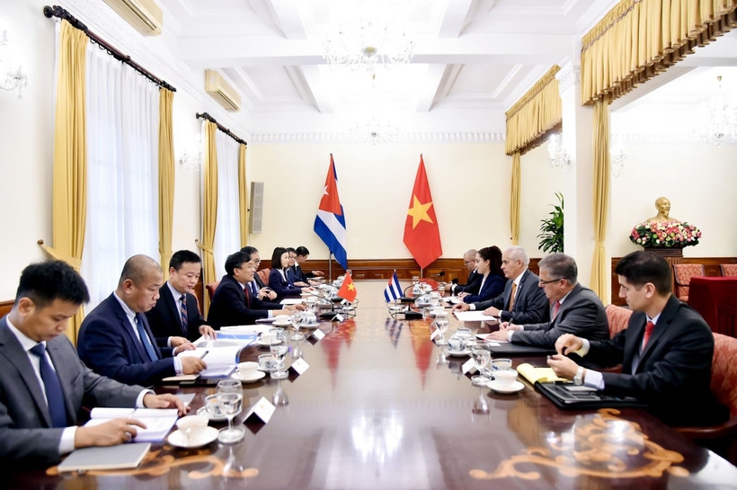 vietnam, cuba commit to stronger ties during eighth political consultation picture 1