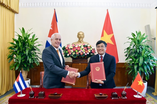 vietnam, cuba commit to stronger ties during eighth political consultation picture 2