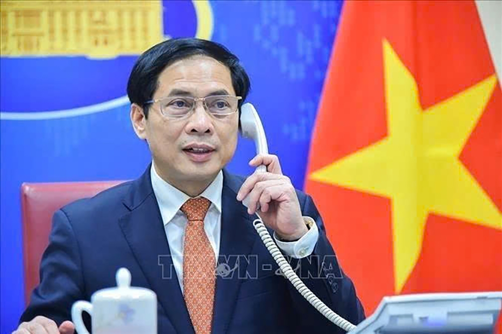 pho thu tuong bui thanh son dien dam voi bo truong ngoai giao lao hinh anh 1