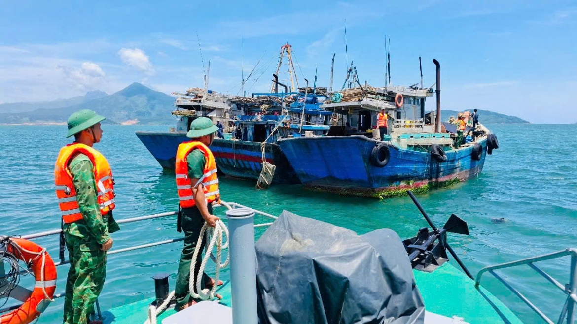 Da nang hanh dong tu bo ra bien, quyet liet go the vang iuu hinh anh 1