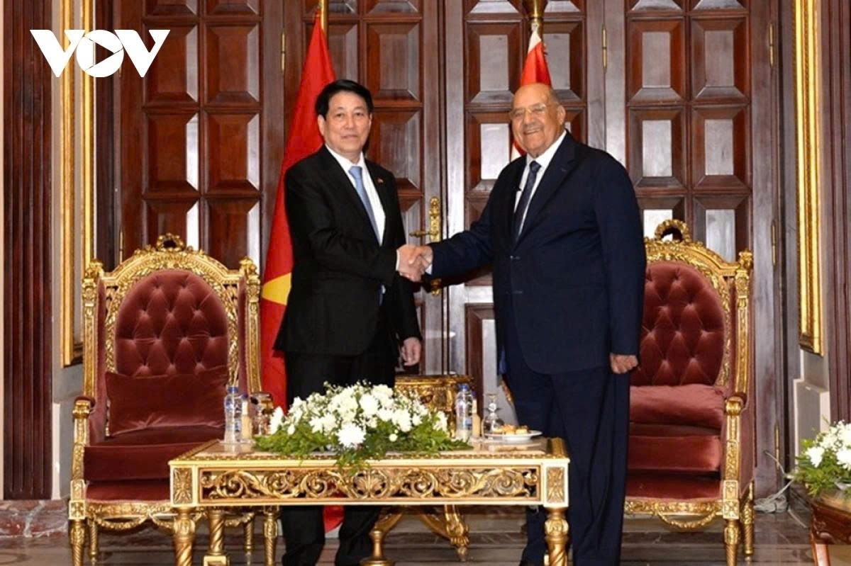 president luong cuong s africa tour in the spotlight picture 12