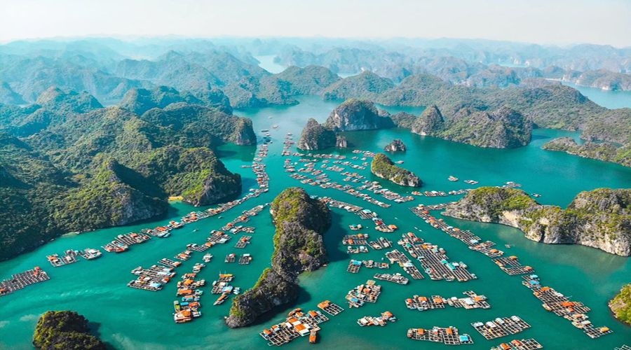 giai ma suc hut ben vung va tiem nang du lich suot 4 mua tai flamingo cat ba resorts hinh anh 1