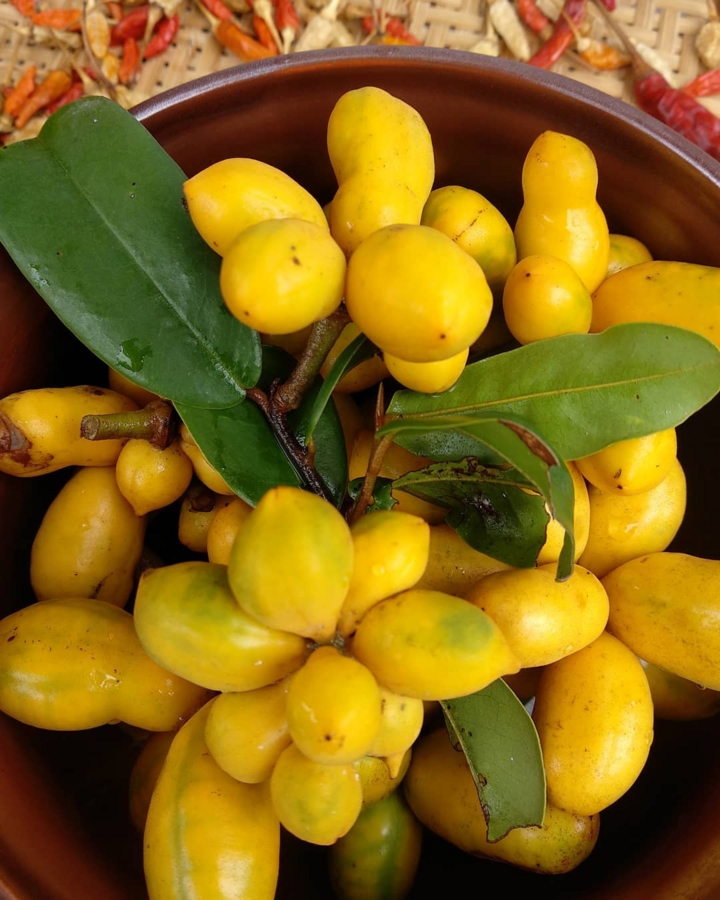 Quả dại có tên rất lạ được nhiều người tìm mua