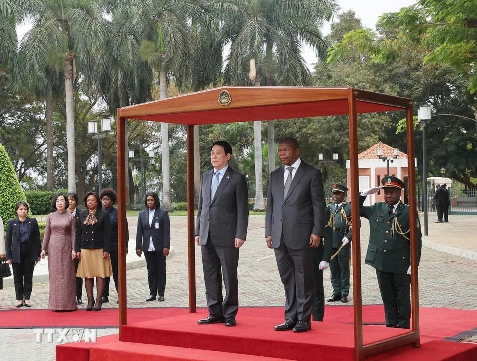 president luong cuong s africa tour in the spotlight picture 23