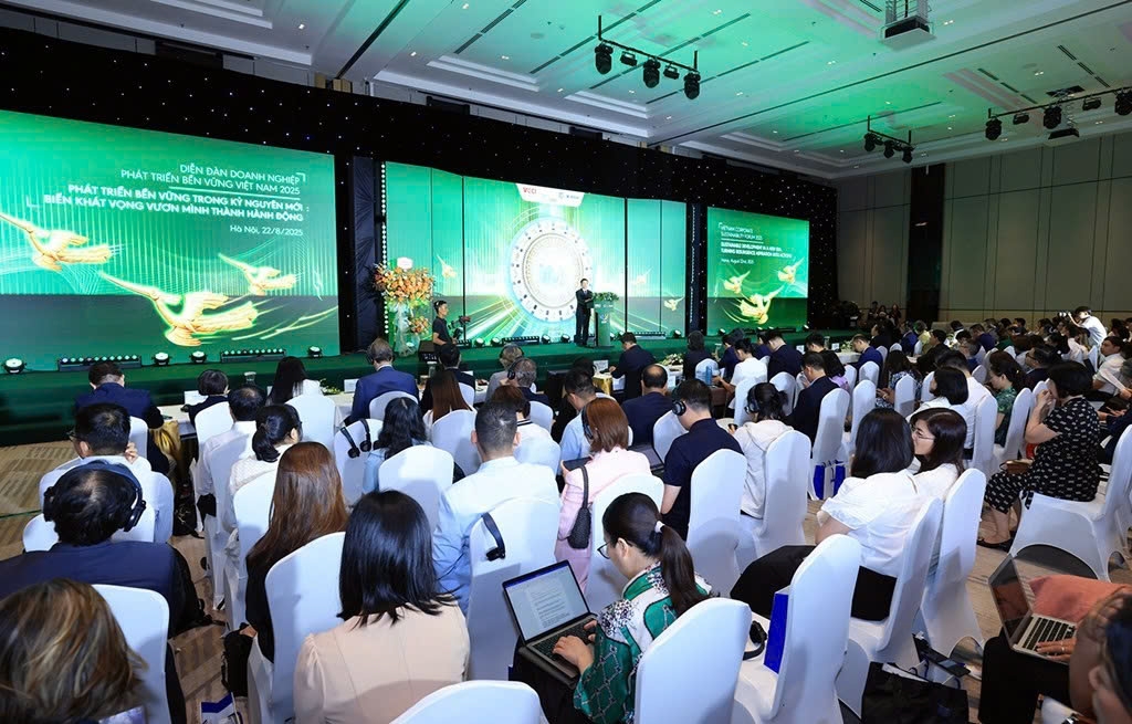 Dong luc phat trien ben vung quoc gia trong ky nguyen moi hinh anh 1