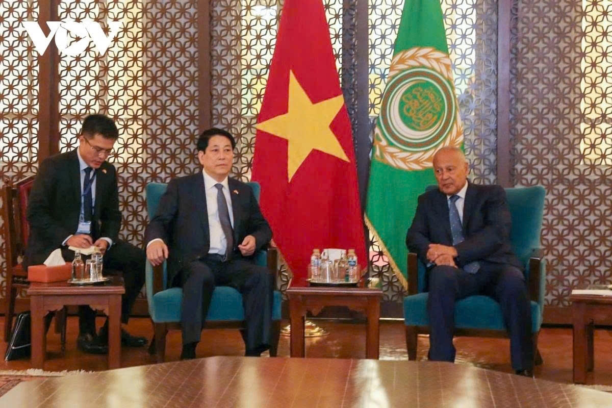 president luong cuong s africa tour in the spotlight picture 4