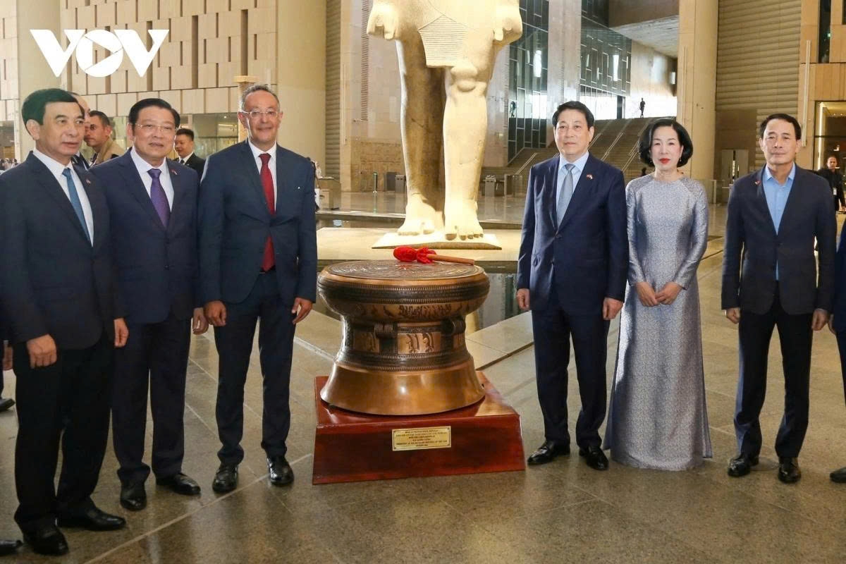 president luong cuong s africa tour in the spotlight picture 5