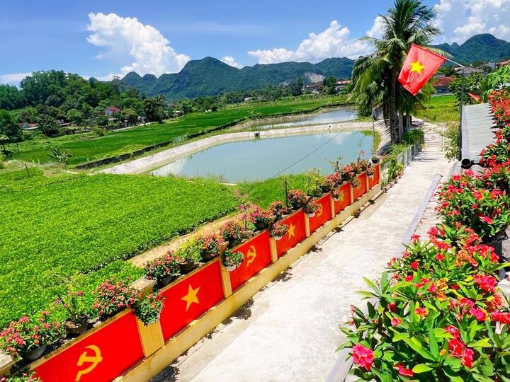 cap vo chong lam con duong sang ruc hinh anh co to quoc va co Dang hinh anh 1