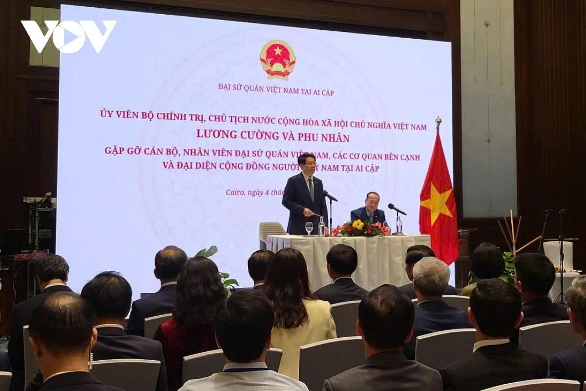 president luong cuong s africa tour in the spotlight picture 6