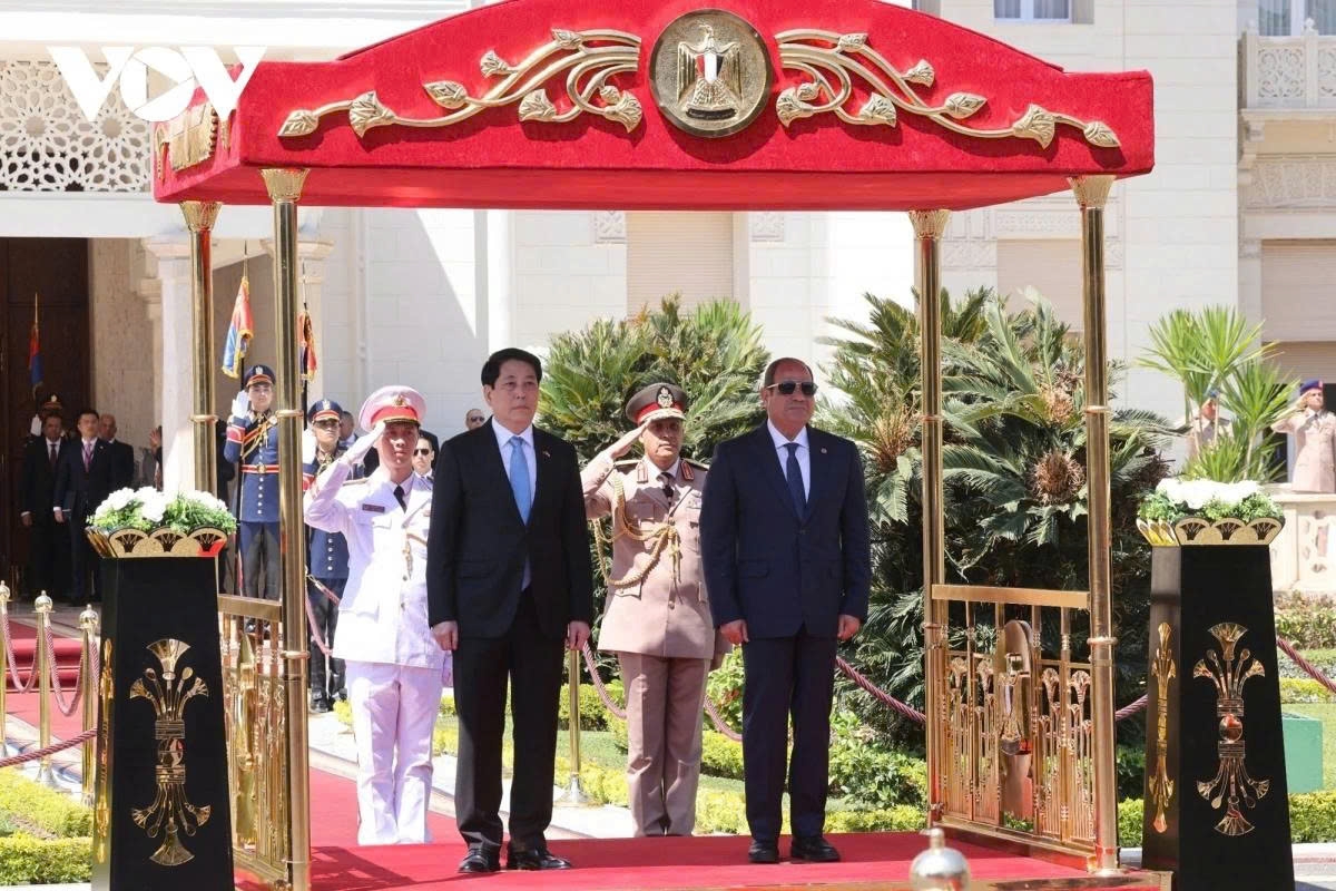 president luong cuong s africa tour in the spotlight picture 7