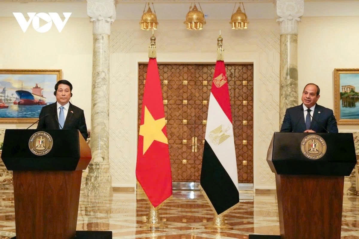 president luong cuong s africa tour in the spotlight picture 8
