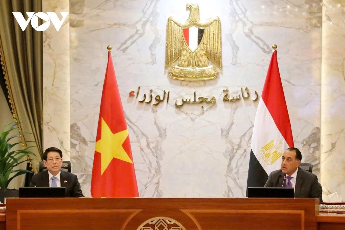 president luong cuong s africa tour in the spotlight picture 9