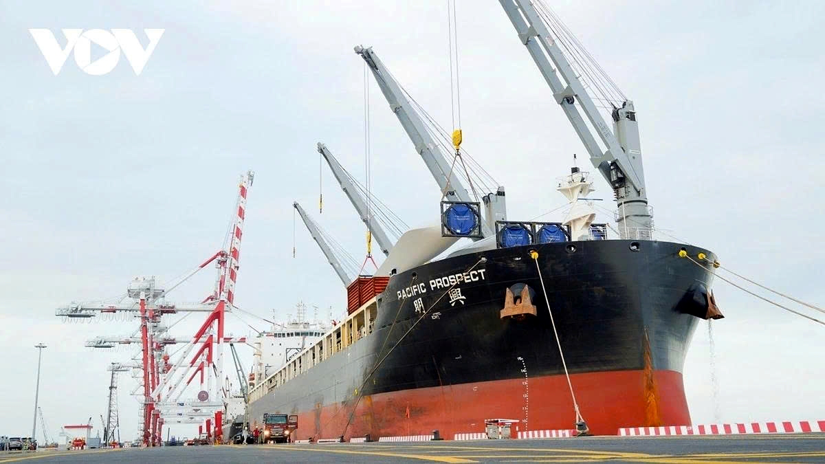 deep integration drives vietnam s rise as global trade powerhouse picture 2 deep integration drives vietnam s rise as global trade powerhouse picture 2