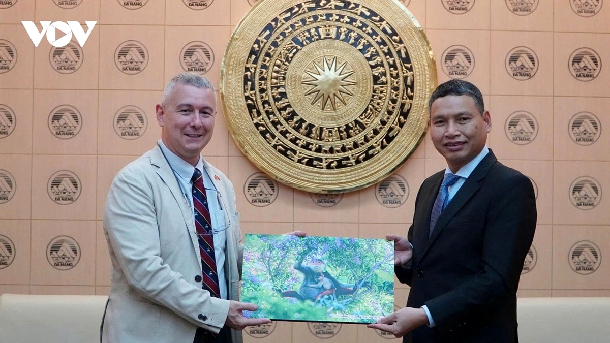 many belgian businesses keen to cooperate with da nang, says ambassador picture 1 many belgian businesses keen to cooperate with da nang, says ambassador picture 1