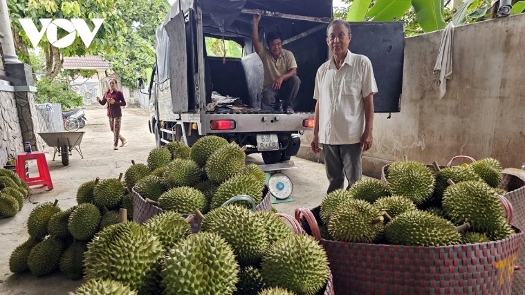 vietnamese fruits gain traction in chinese market picture 1 vietnamese fruits gain traction in chinese market picture 1