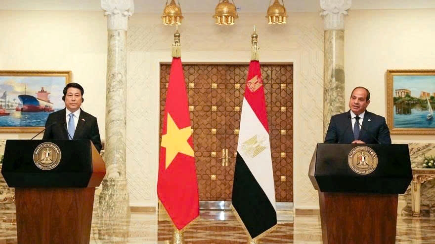 vietnam and egypt elevate bilateral relations to comprehensive partnership picture 2 vietnam and egypt elevate bilateral relations to comprehensive partnership picture 2