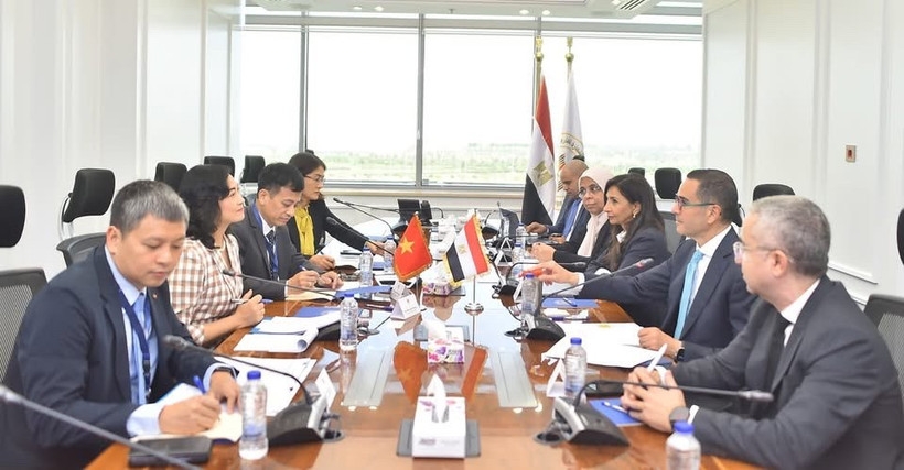 vietnam, egypt strengthen economic ties, eye bilateral fta picture 1 vietnam, egypt strengthen economic ties, eye bilateral fta picture 1