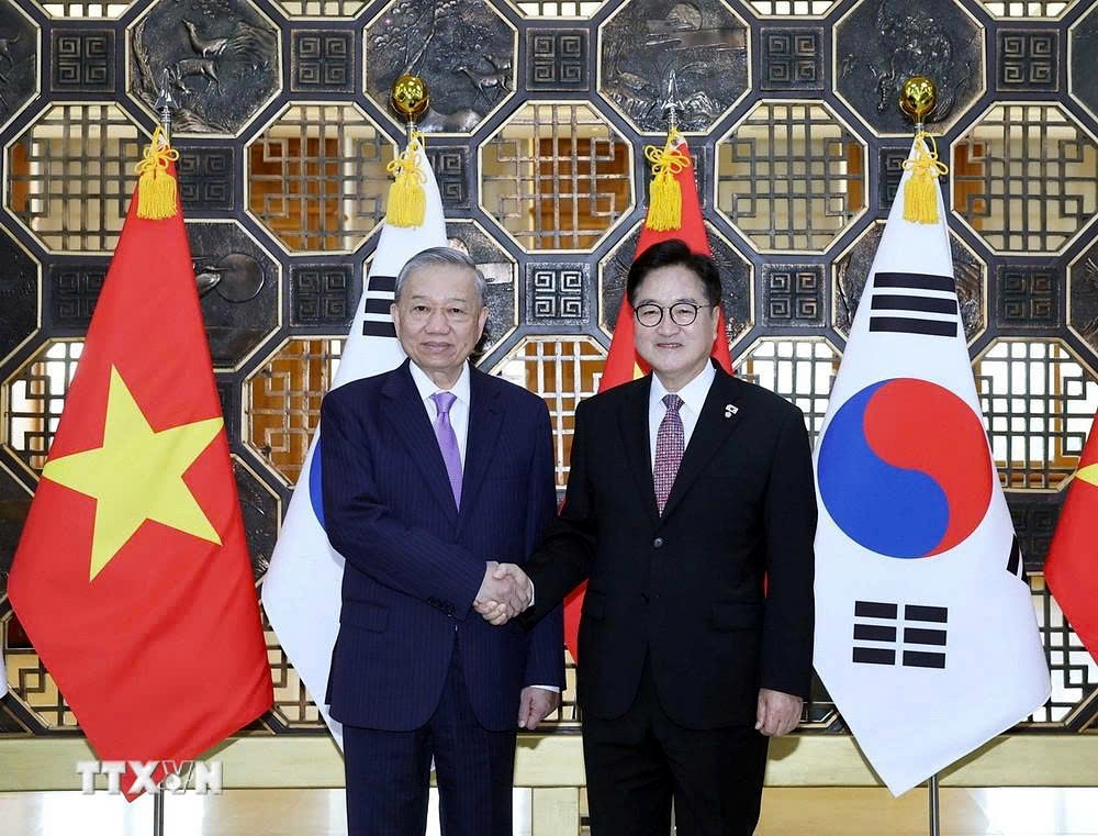 party leader calls for effective implementation of vietnam rok cooperation mechanisms picture 1