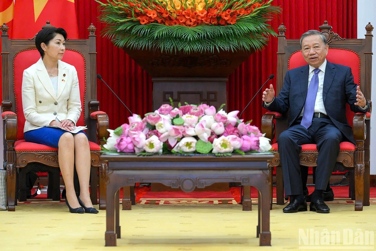 party leader calls for stronger vietnam japan economic connectivity picture 1