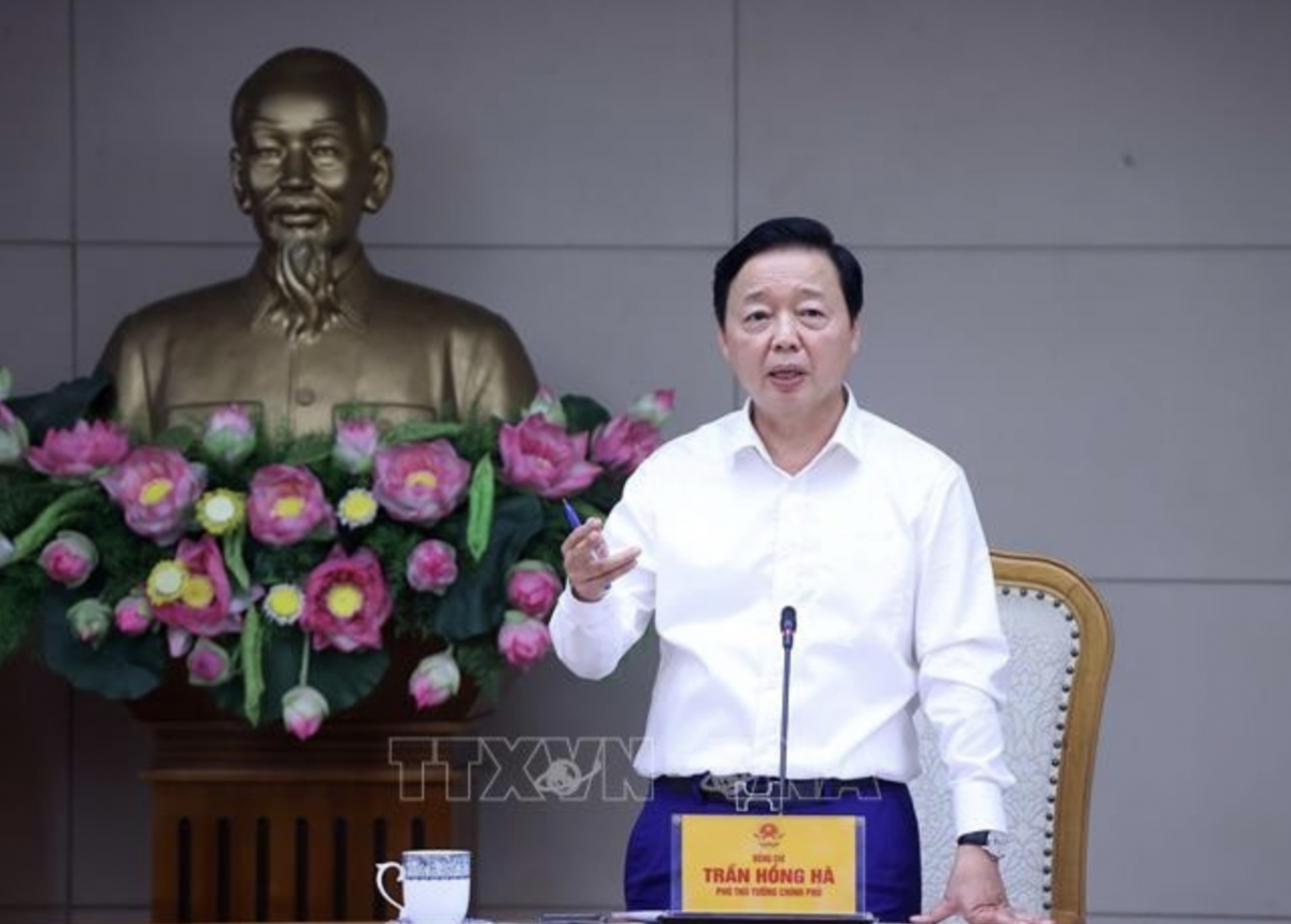 vietnam steps up crackdown on iuu fishing to have ec s yellow card lifted picture 1 vietnam steps up crackdown on iuu fishing to have ec s yellow card lifted picture 1