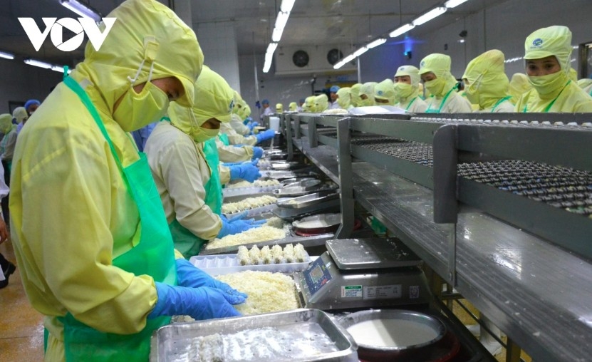 shrimp exports surge across asia, on track for us 3.8 billion in 2025 picture 1
