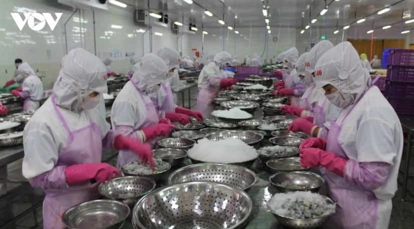 india increases purchase of vietnamese seafood picture 1 india increases purchase of vietnamese seafood picture 1