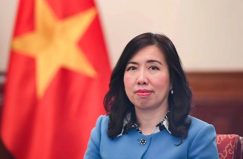 vietnam charts new course for consular, citizen protection affairs picture 1 vietnam charts new course for consular, citizen protection affairs picture 1