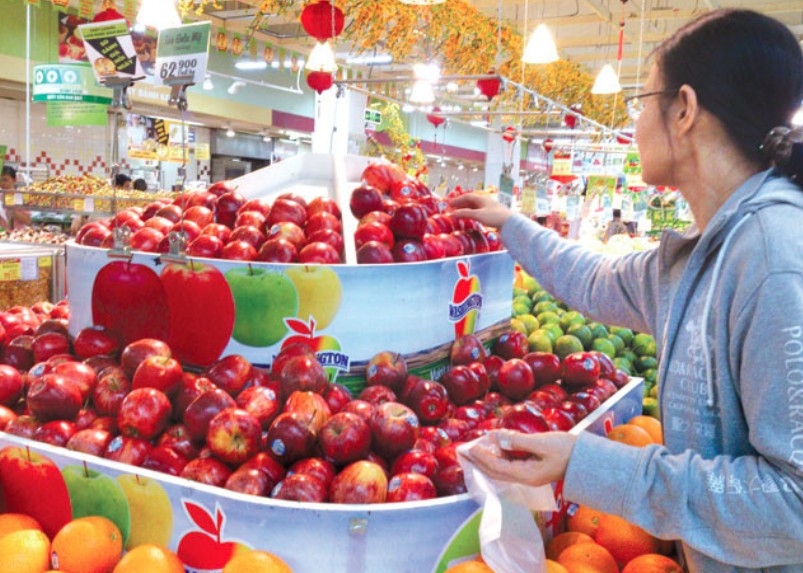 us exports to vietnam hit record high in first half of 2025 picture 1