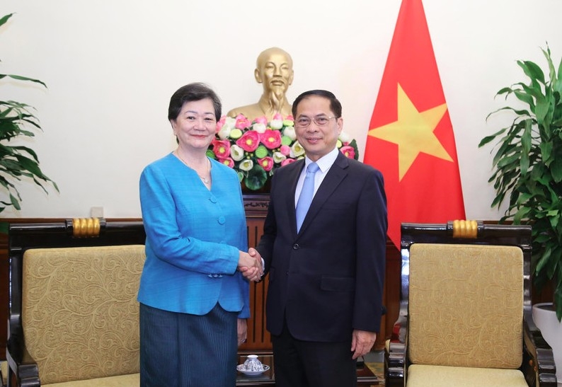 deputy pm, fm receives cambodian ambassador picture 1
