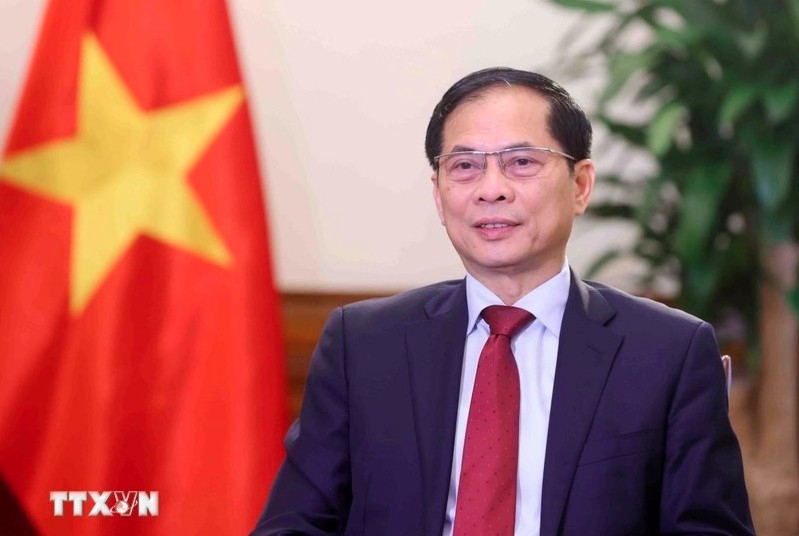 deputy pm, fm highlights 80-year journey of vietnam s diplomacy picture 1 deputy pm, fm highlights 80-year journey of vietnam s diplomacy picture 1