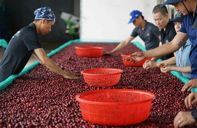 20 reciprocal tariff poses hurdles for vietnamese exports to us picture 2