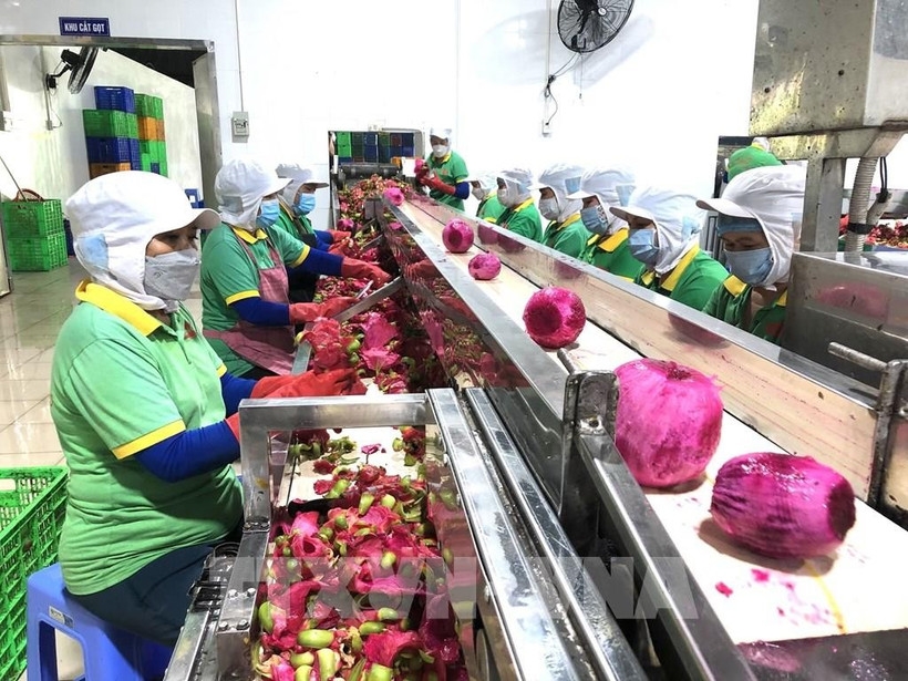 diversifying markets key for agricultural product exports to achieve yearly target experts picture 1
