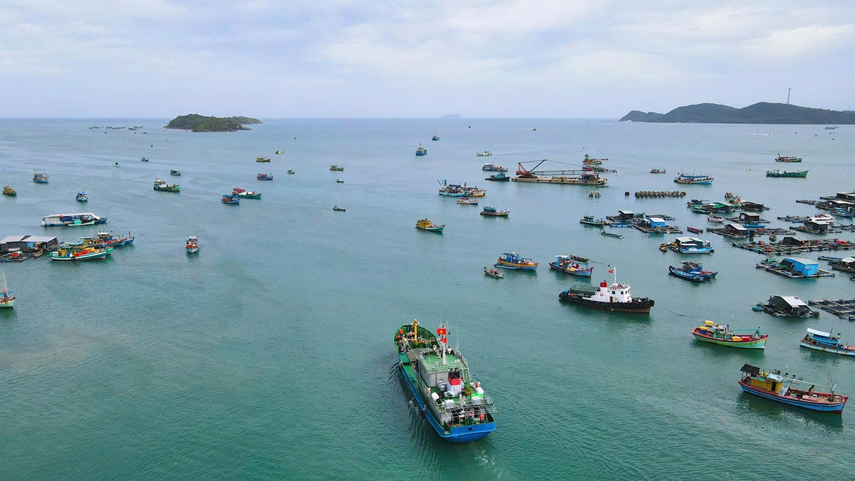 An Giang: triển khai các phương án chủ động ứng phó với bão số 5