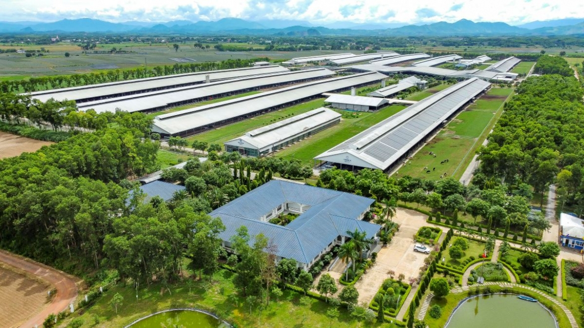 su hien dien cua vinamilk giup viet nam vao top 5 the gioi ve gia tri thuong hieu hinh anh 3