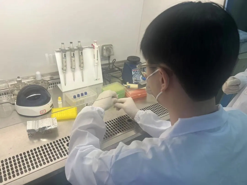 Trung Quốc phát triển bộ kit phát hiện sốt Chikungunya siêu nhanh