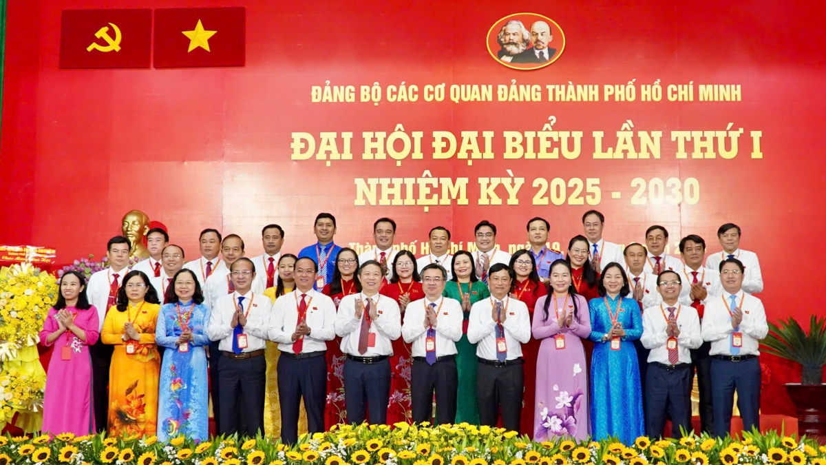 Ong nguyen thanh nghi giu chuc bi thu Dang uy cac co quan Dang tp.hcm hinh anh 1