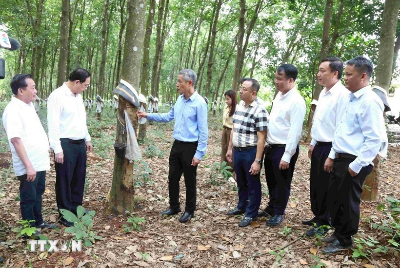 vietnam bolsters investment, economic cooperation in northeastern cambodia picture 1