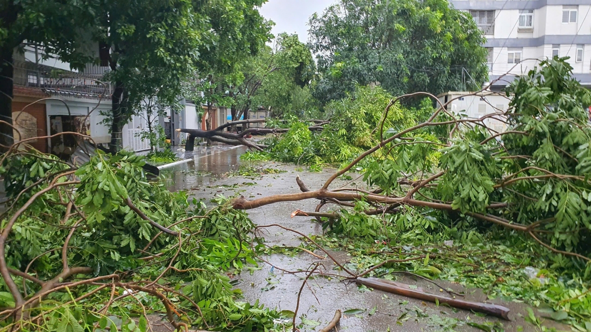 Bão số 5 làm 3 người chết, 10 người bị thương gây thiệt hại nặng về tài sản